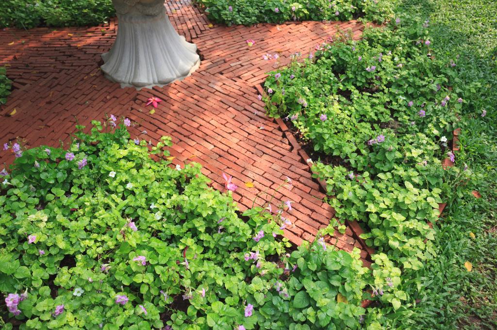 Baan Khun Nine Wang Doem Hotel กรุงเทพมหานคร ภายนอก รูปภาพ